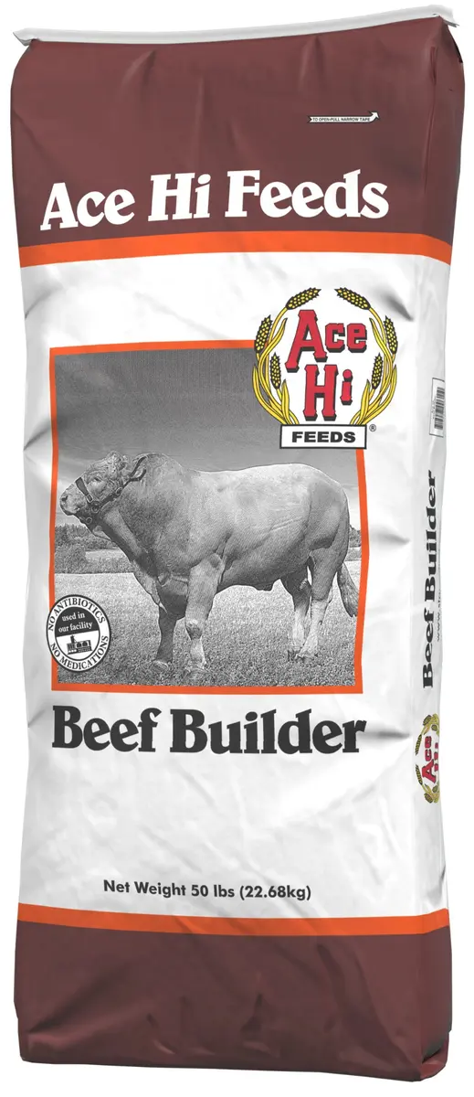 Beef Builder