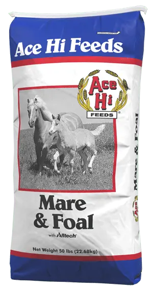 Mare & Foal