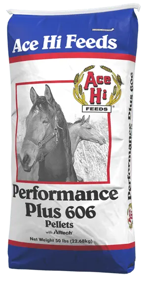 Performance Plus 606