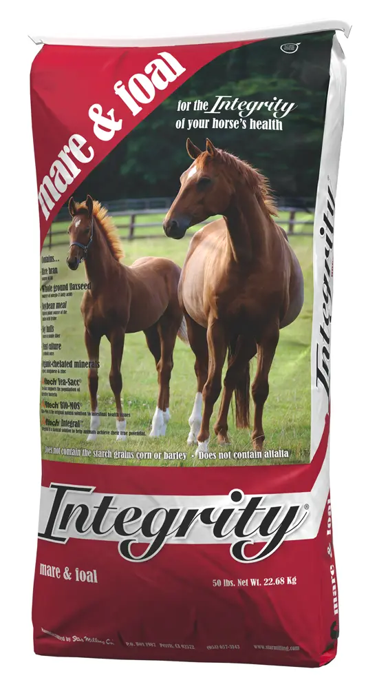 Integrity Mare & Foal