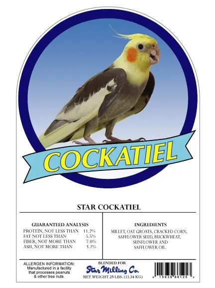 Cockatiel Mix